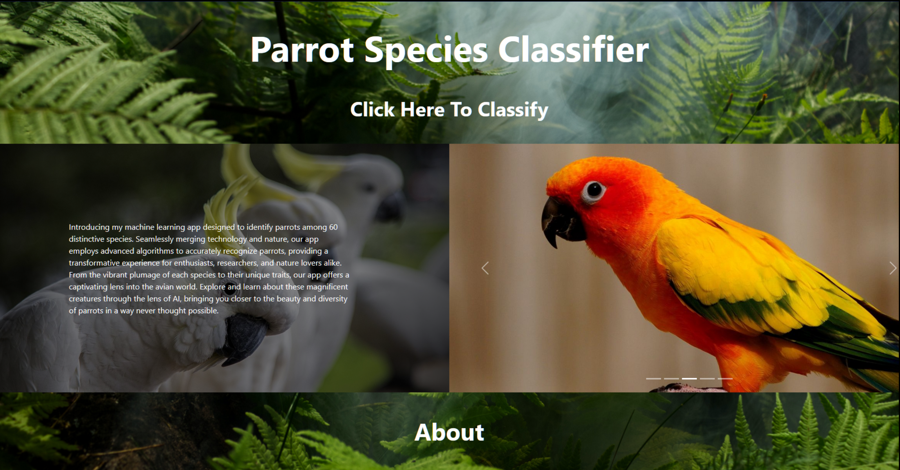 Parrot Classifier